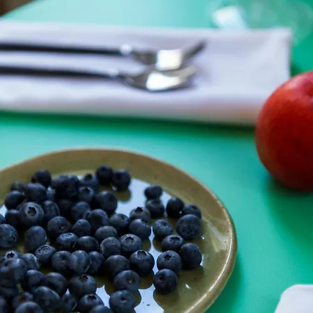 Aplotis בית נופש