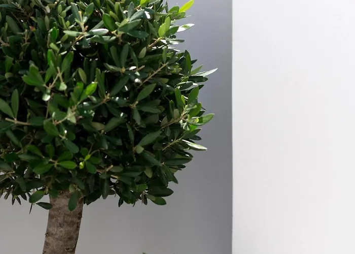 Feriehus Aplotis Ermoupoli